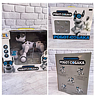 Інтерактивна іграшка-робот Собака на радіоуправлінні JZL 20173-1, фото 3