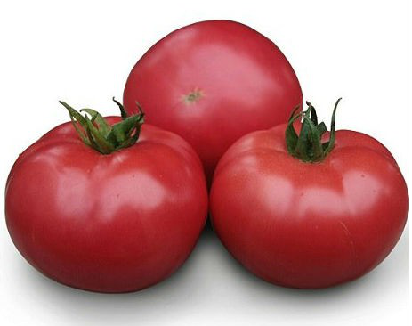 KS 38 F1 - насіння томату індетермінантного 1 000 насінин, Kitano Seeds