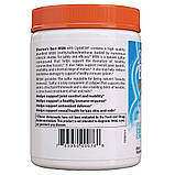 MSM в порошку Doctor's s Best MSM Powder with OptMSM 250 грам, фото 4