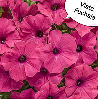 Петуния Vista Fuchsia