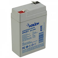 Акумулятор олив'яно-кислотний Merlion 6 V 2.8 AH