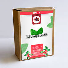 Kidnysteen (Кідністін) - чай для нирок