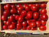 9969 F1 - насіння детермінантного томату, 100000 нас., середньоранній, Lark Seeds, фото 3