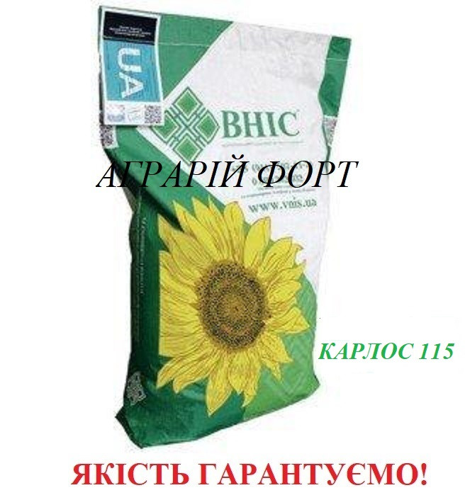 Карлос 115. Якісне насіння соняшнику ВНІС. Посівмат соняшнику