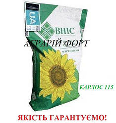 Карлос 115. Якісне насіння соняшнику ВНІС. Посівмат соняшнику