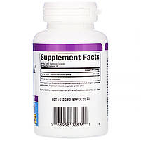 Гамма-аміномасляна кислота Pharma GABA Stress Relax 100 мг Natural Factors 60 вегетаріанських капсул, фото 2