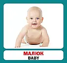 Навчальні англійсько-українські картки. Сім'я, фото 5