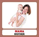 Навчальні англійсько-українські картки. Сім'я, фото 6