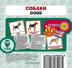 Навчальні англійсько-українські картки. Собаки