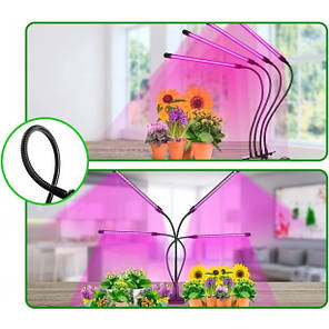 Фітолампа для рослин Plant GrowLight світлодіодна з таймером Black N, фото 1