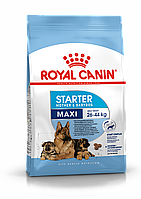 Royal Canin Maxi Starter сухий корм для цуценят і вагітних собак великих порід 4 кг