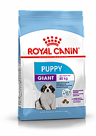 Royal Canin Giant Puppy сухий корм для цуценят гігантських порід собак від 2 до 8 місяців 1 кг