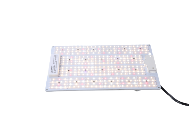 Фітолампа Grow Board 100W(LM281B+) УТ