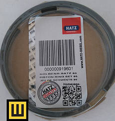 00919601 Кільця 95 мм для двигуна Hatz seria H3 L 30, H2 L 30