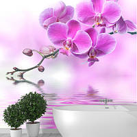Фотообои Сиреневая орхидея в воде Артикул 10996