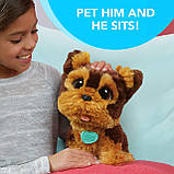 Інтерактивне цуценя Йоркширський тер'єр Джек FurReal Friends Jake My Jumping Yorkie, фото 6