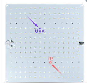 Світлодіодна лампа для рослин GrowBoard 60W (Samsung LM281B+), фото 4