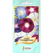 Насіння іпомеї "Триколірна" (1 г) від Legutko, Польща