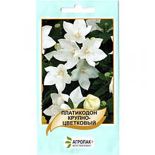 Насіння платиккодона "Білий" (50 шт.) від Legutko, Польща