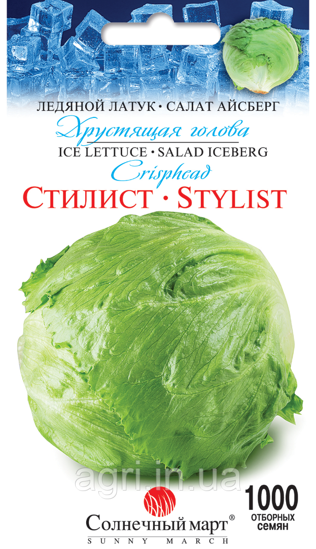 Салат Стиліст (Айсберг), 1000шт