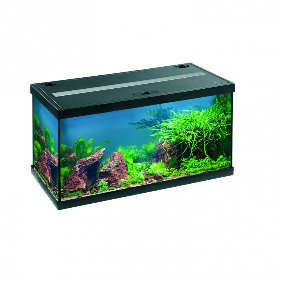 Акваріумний комплект Eheim aquastar 54 LED чорний (0340645)