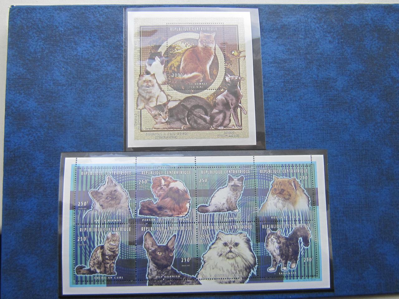 2 блоку (9 марок) повна серія Ценнтральноафриканская республіка 1998 фауна коти кішки MNH КЦ 16 $
