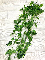 Штучна, ампельна дифенбахія ( латекс 105 см), фото 7