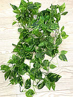 Штучна, ампельна дифенбахія ( латекс 105 см), фото 6