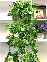 Штучна, ампельна дифенбахія ( латекс 105 см), фото 5