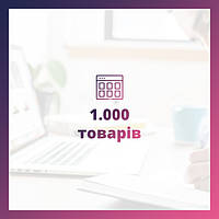 Кількість товарних позицій - 1000 товарів