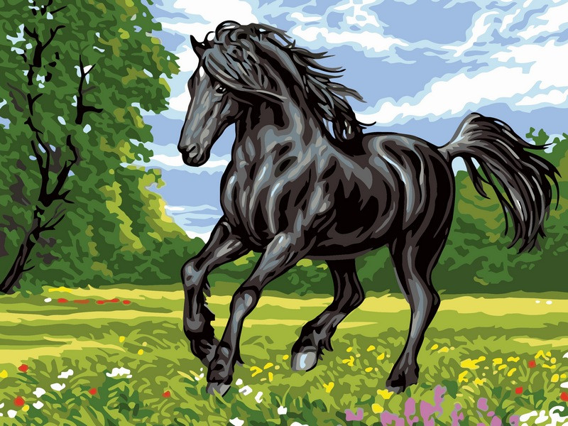 Картины по номерам 30х40 см. Babylon Черный конь (VK-121) - фото 1 - id-p243967152