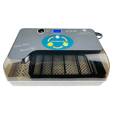 Инкубатор | купить недорого, на Prom | Украина