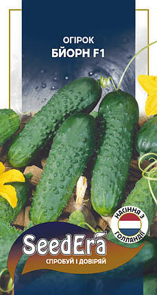 Насіння Огірок Бйорн F1 10шт, Seedera (Bejo Zaden, Голландія), фото 1