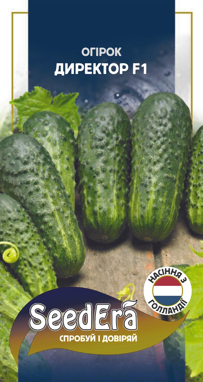 Насіння Огірок Директор F1 10шт, Seedera (Nunhems, BASF, Голландія)