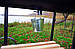 Мангал-гриль Троян (з шампурами), фото 8