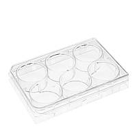 Стерильна плашка на 6 лунок для культивування культур клітин