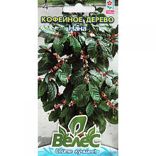 Насіння кавового дерева "Нана" (1 г) від ТМ "Велес", Україна