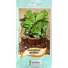 Кавове дерево (5 шт.) від Legutko, Польща