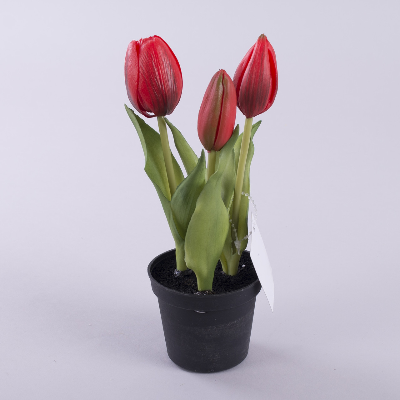 Тюльпан Латексный в Горшке Красный — Купить Недорого на Bigl.ua ...