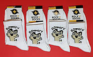 Шкарпетки високі весна/осінь Rock'n'socks 444-38 Україна one size (37-44р) НМД-0510440, фото 3