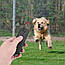 Ультразвуковий відлякувач для собак Dog repeller TJ 3008 Кишеньковий Чорний, фото 11