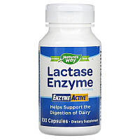 Лактаза Nature's Way "Lactase Enzyme Formula" для переваривания молочных продуктов, 690 мг (100 капсул)