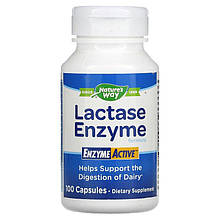 Лактаза Nature's Way "Lactase Enzyme Formula" для перетравлення молочних продуктів, 690 мг (100 капсул)
