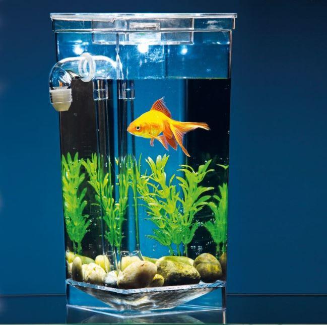 Акваріум самоочисний my fun fish, для рибок, фото 1