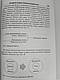 Жизнь на перепутье. Майкл Гохин, Крейг Бартоломью, фото 3