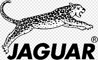 Брашинг Jaguar