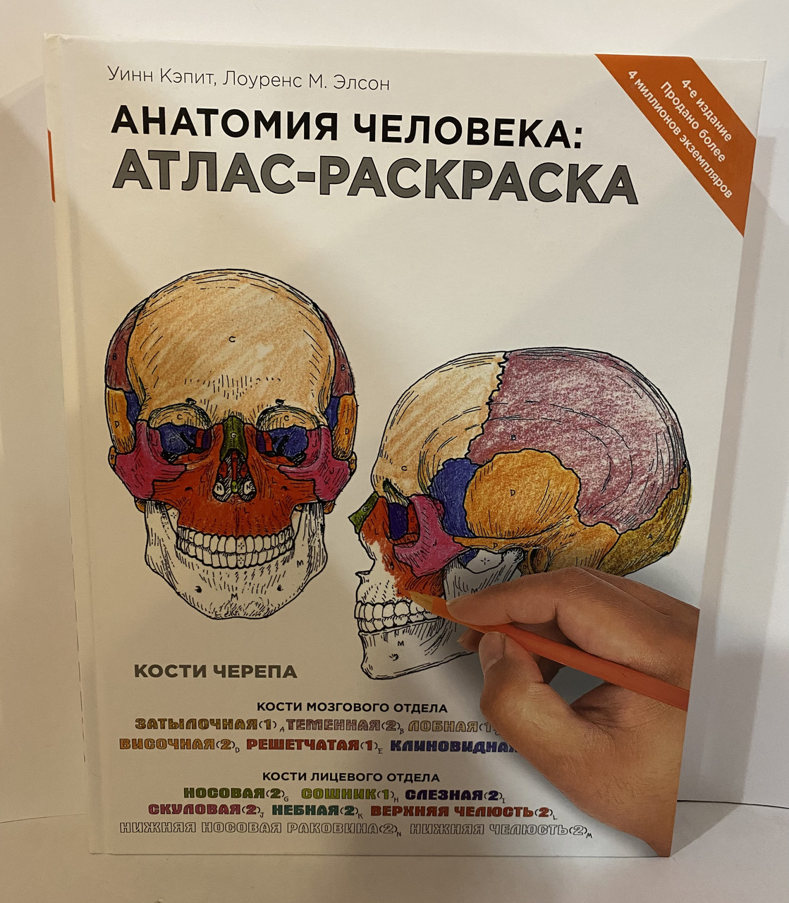 Анатомия Человека Атлас-раскраска — Купить Недорого на Bigl.ua (1554714892)