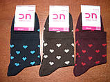 Жіночі шкарпетки "Добра Пара". Сердечки. р. 23-25 (36-40). Бавовна, фото 3