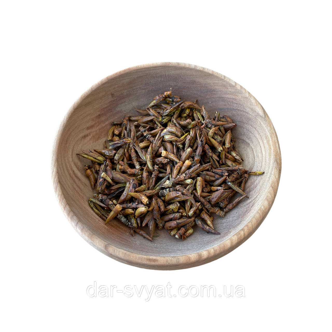 Бруньки чорної тополі (100 г), фото 1