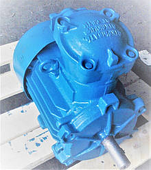 Електродвигун ВАО52-2 13 кВт 3000 об/хв 1081